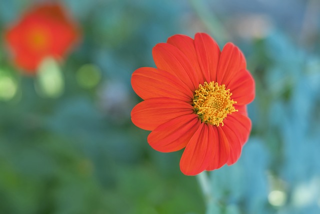 球员血性时刻燃炸全场