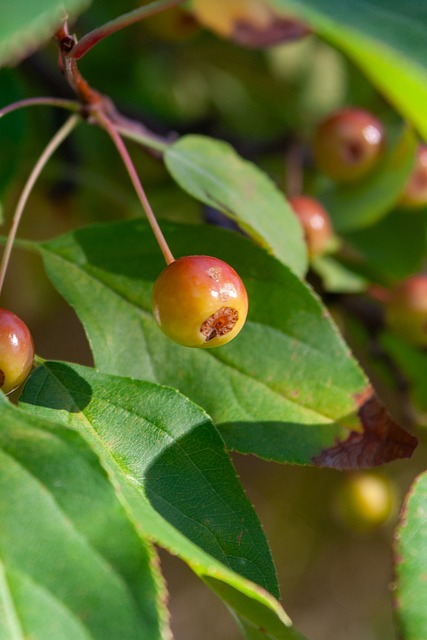 C罗专访(上)：我差点去了阿森纳；退役的时候我可能会哭